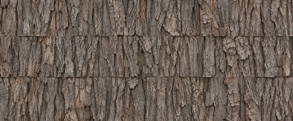 Natural poplar bark texture